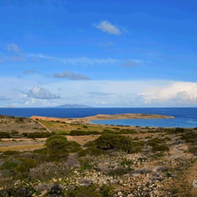 Choristaria-Path-thea